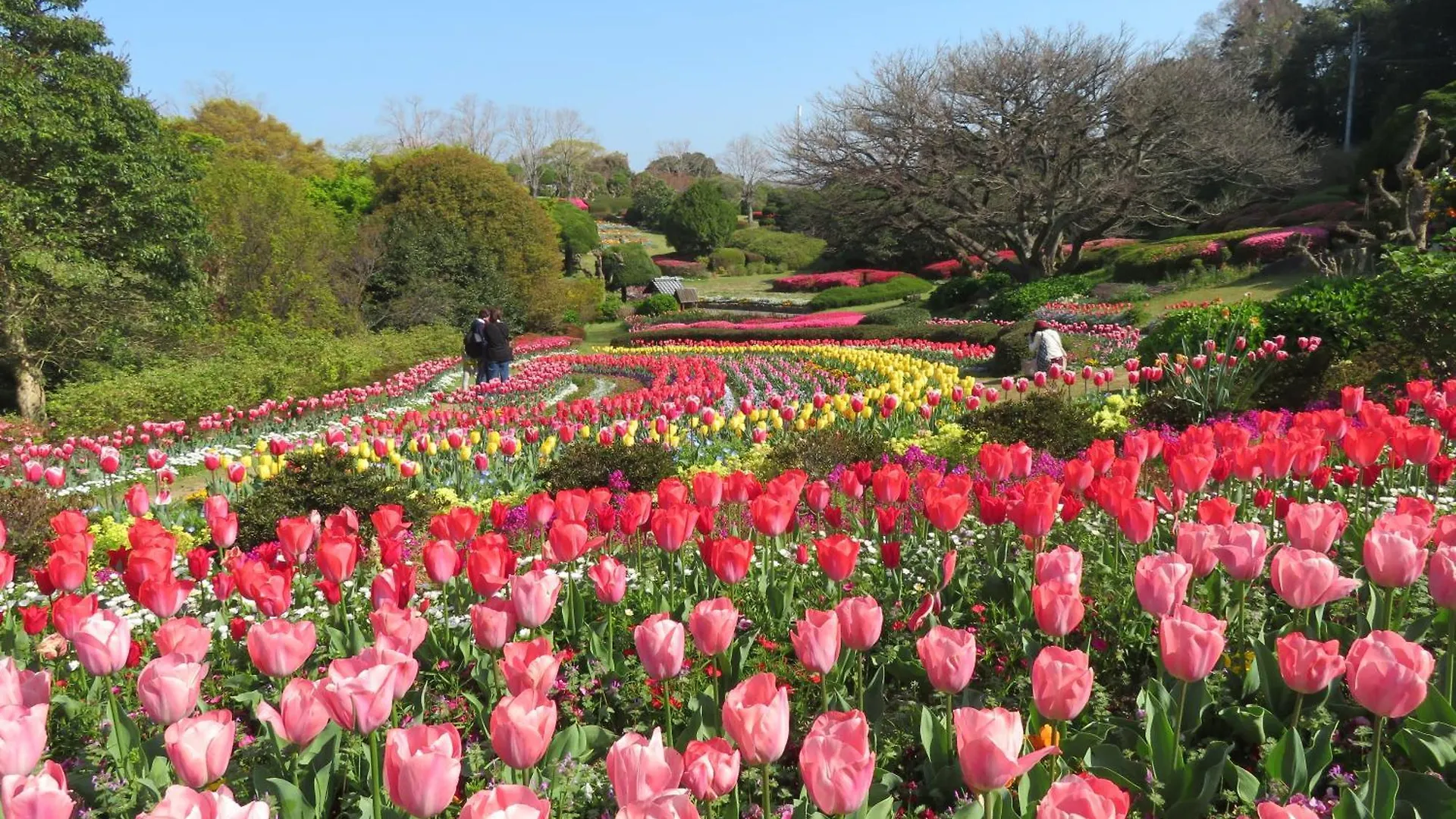 Nokoshima Island Park Villa Sakimori Fukuoka