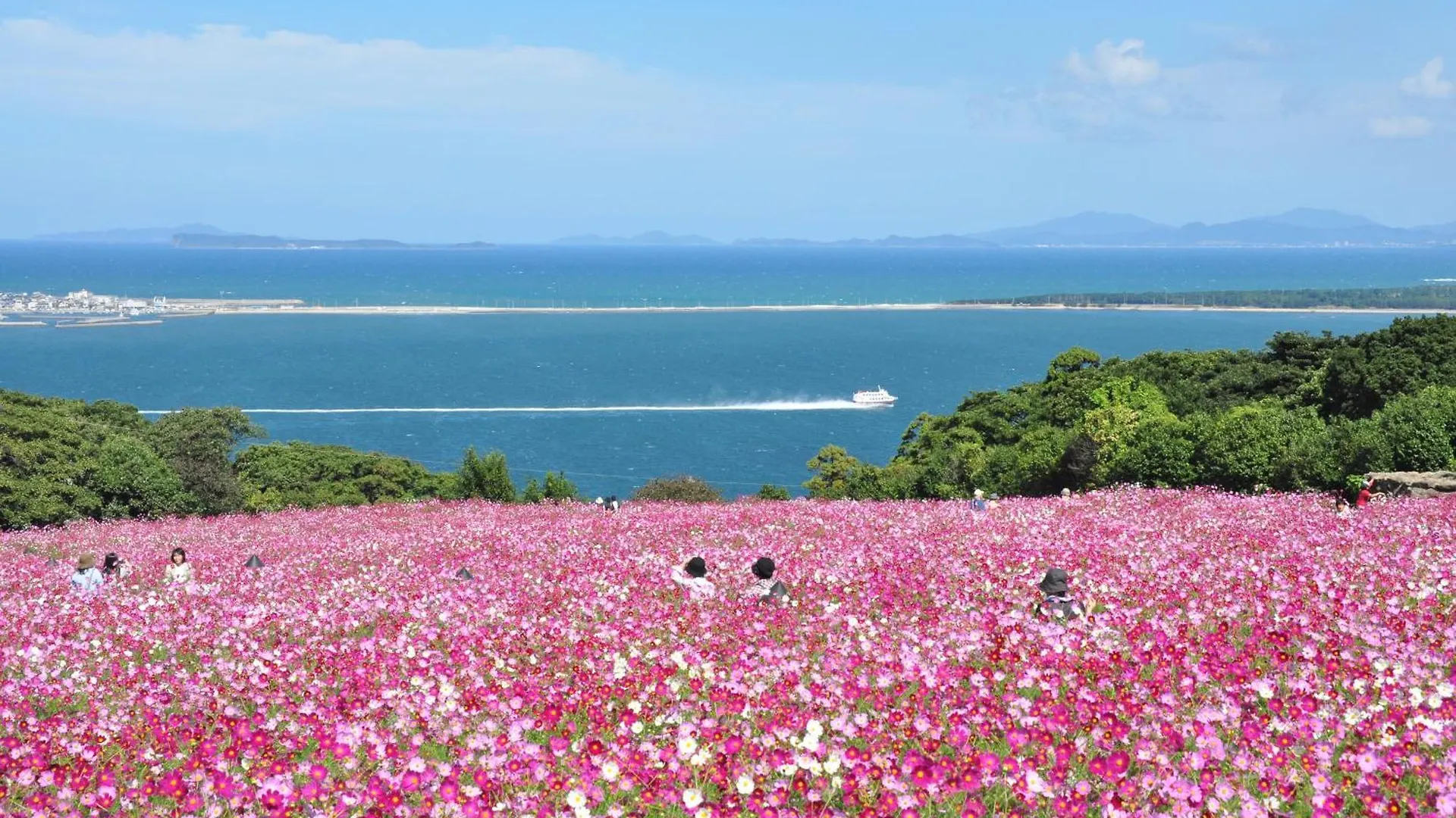 Nokoshima Island Park Villa Sakimori Fukuoka  0*, Fukuoka (Fukuoka)