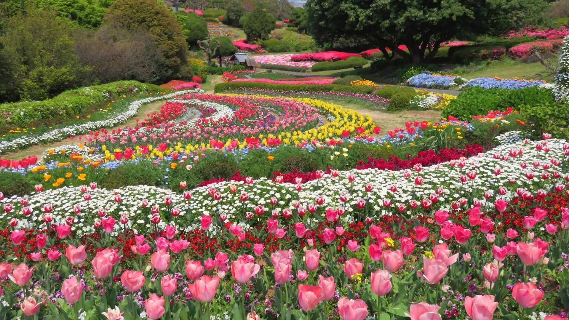 Nokoshima Island Park Villa Sakimori Fukuoka  Japão