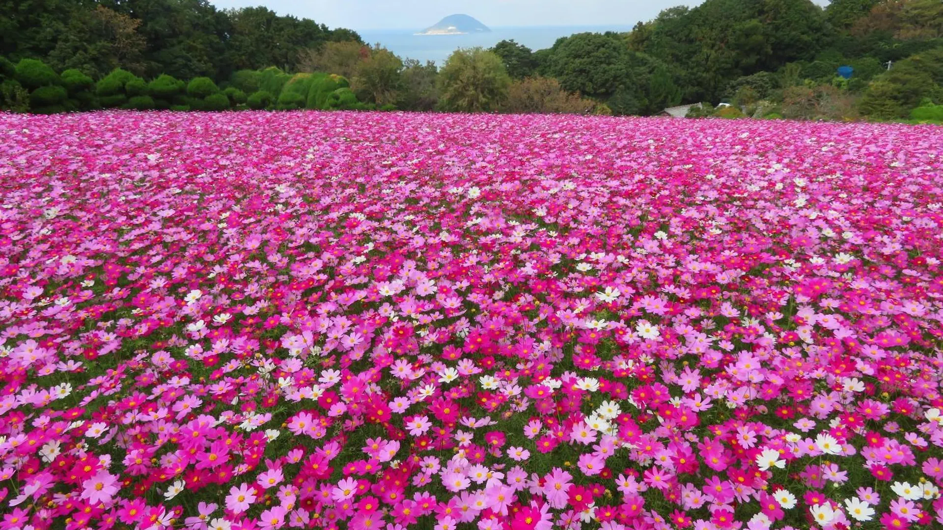 Nokoshima Island Park Villa Sakimori Fukuoka  Fukuoka (Fukuoka)