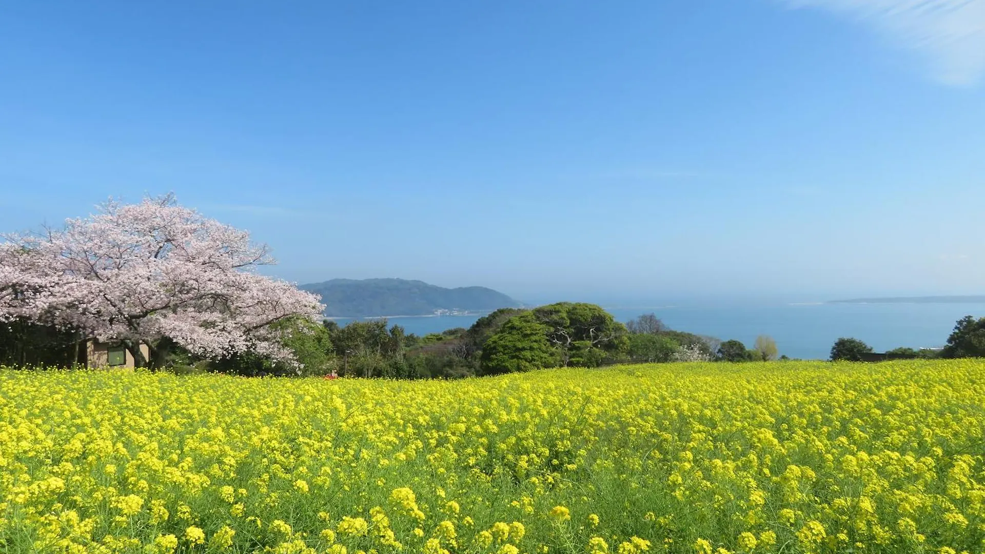 Nokoshima Island Park Villa Sakimori Fukuoka