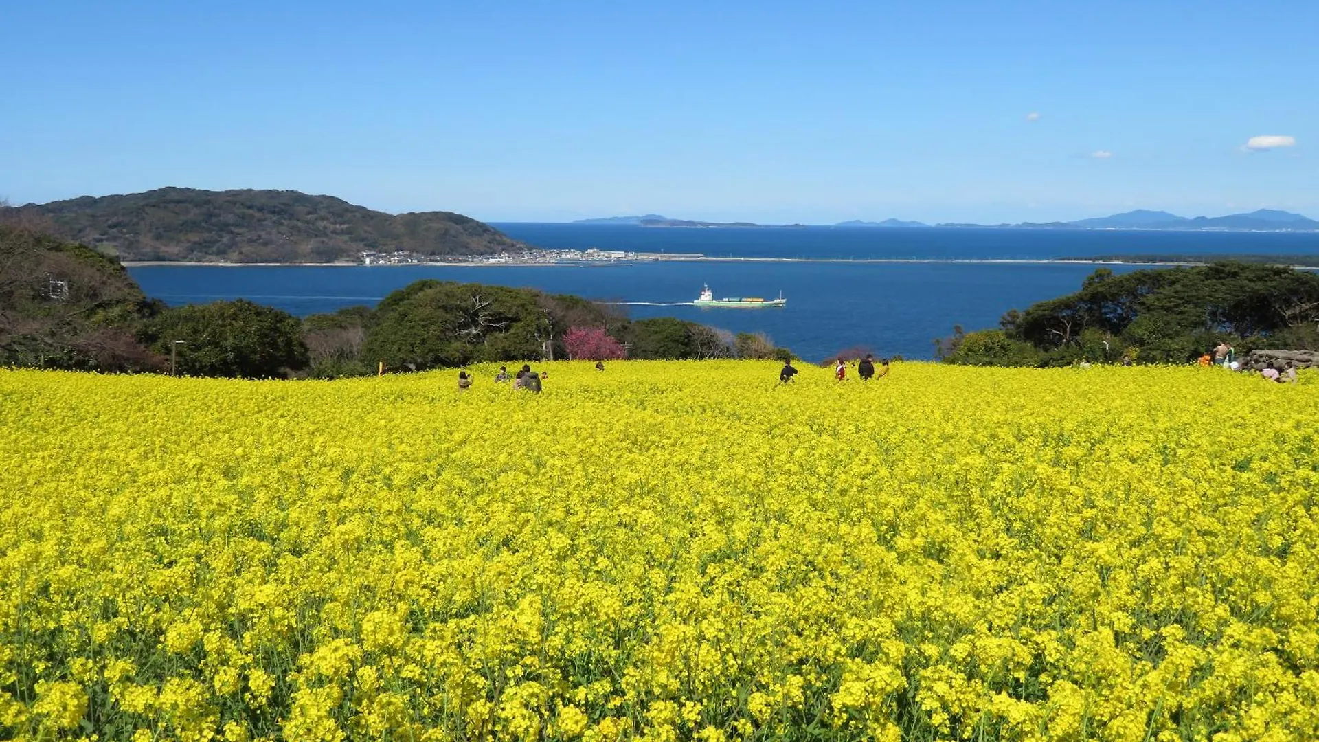Nokoshima Island Park Villa Sakimori Fukuoka