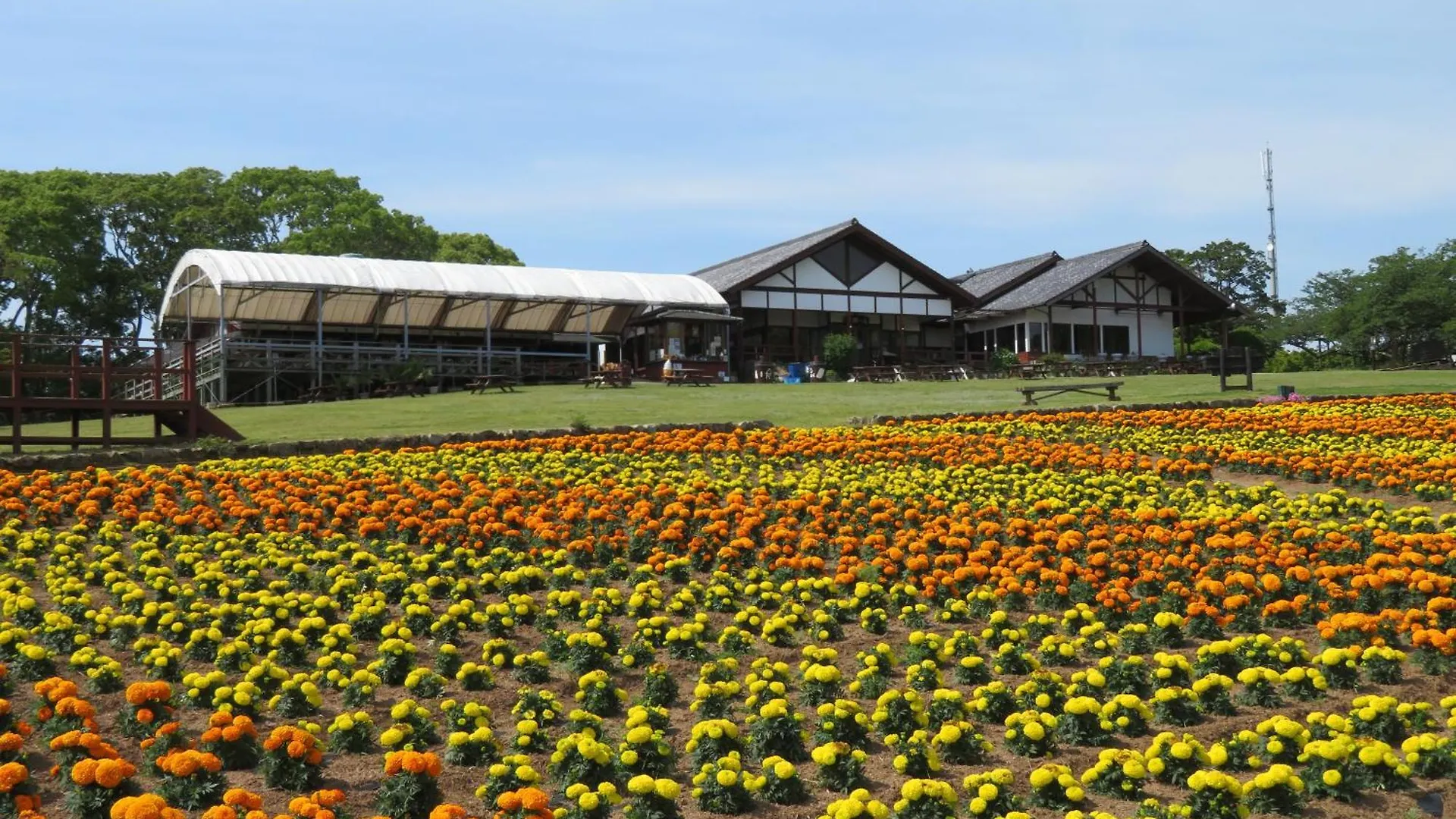 Nokoshima Island Park Villa Sakimori Fukuoka  Japão