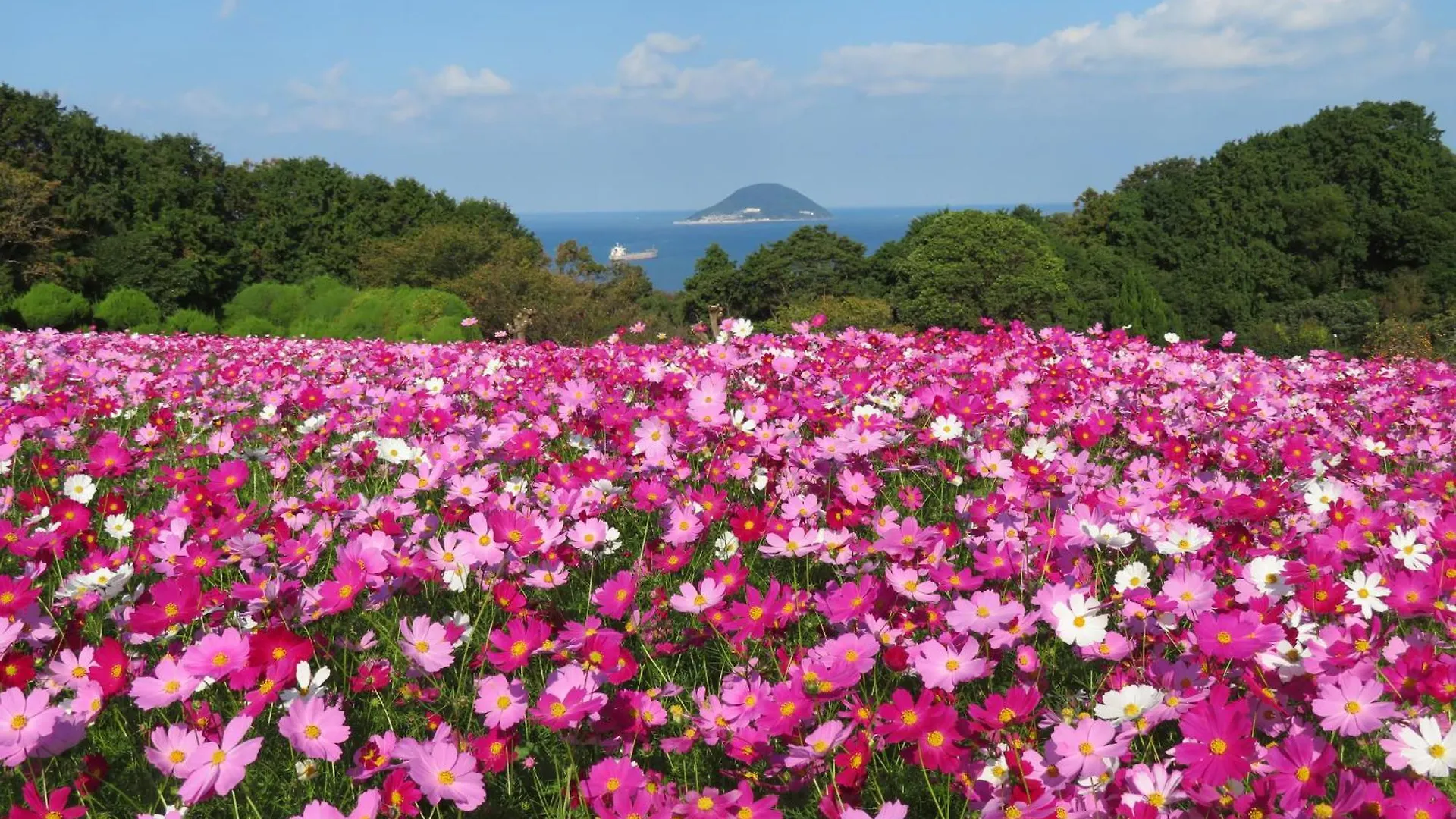 Nokoshima Island Park Villa Sakimori Fukuoka  Japão