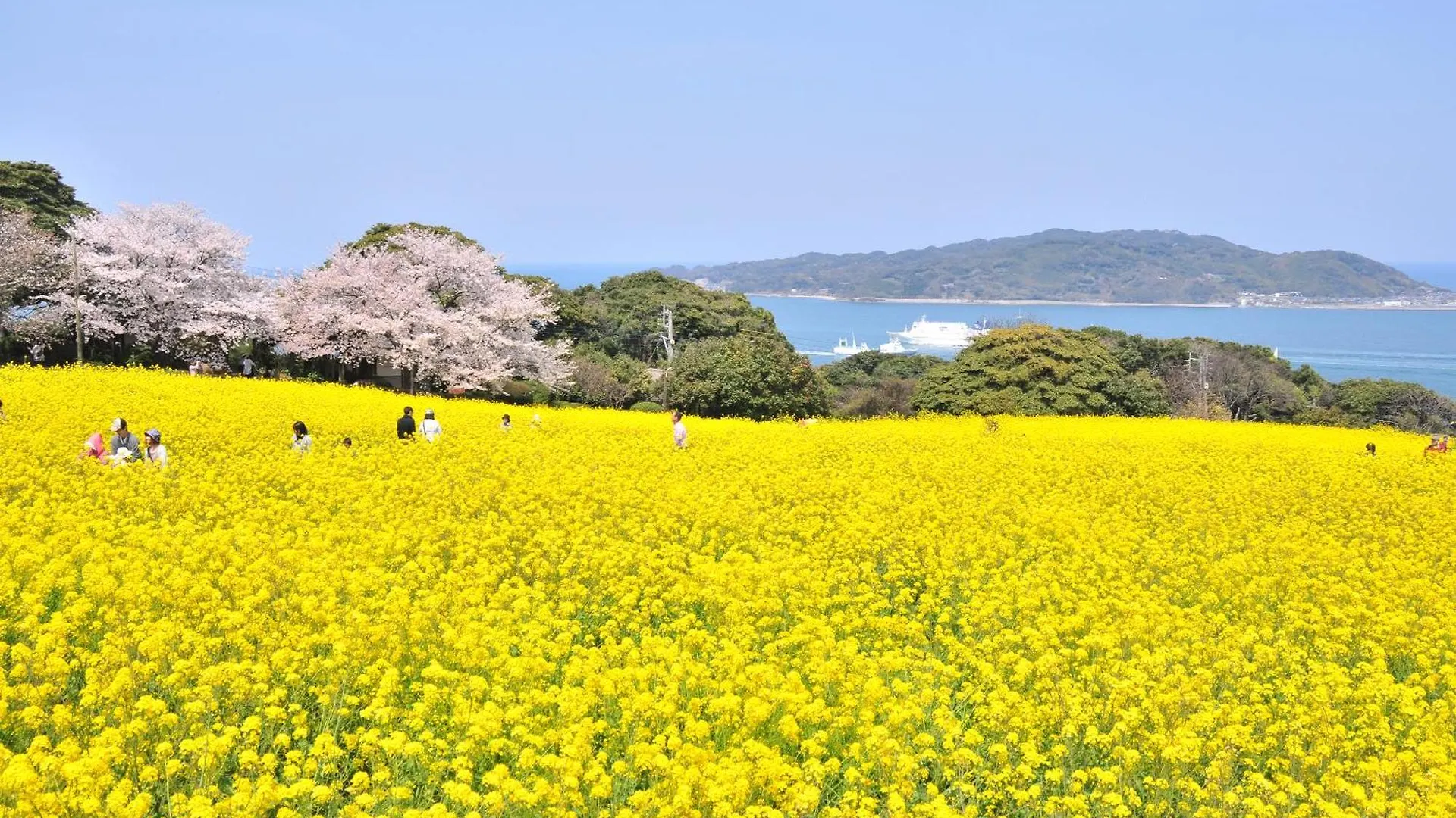 Nokoshima Island Park Villa Sakimori Fukuoka
