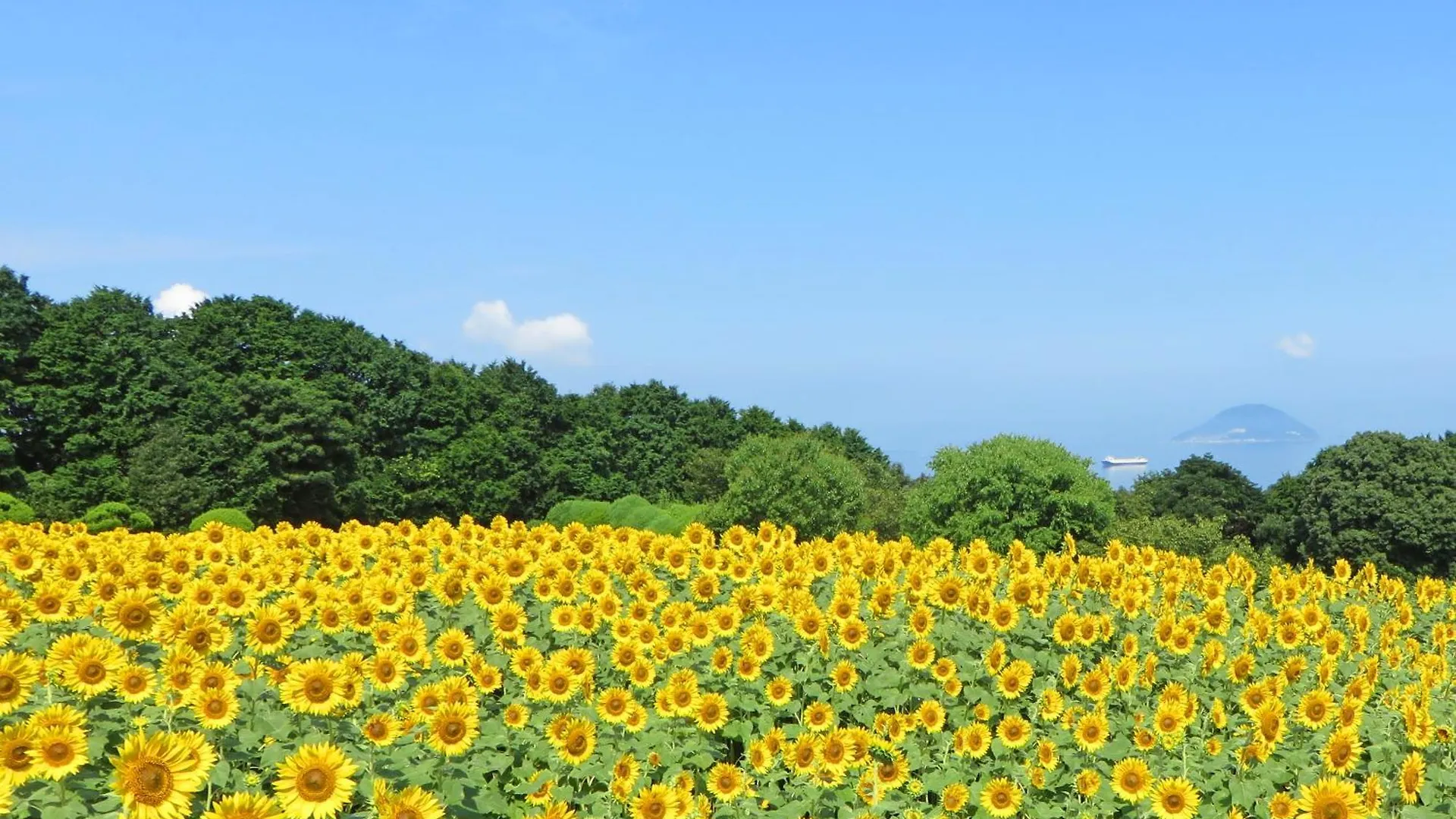 Nokoshima Island Park Villa Sakimori Fukuoka