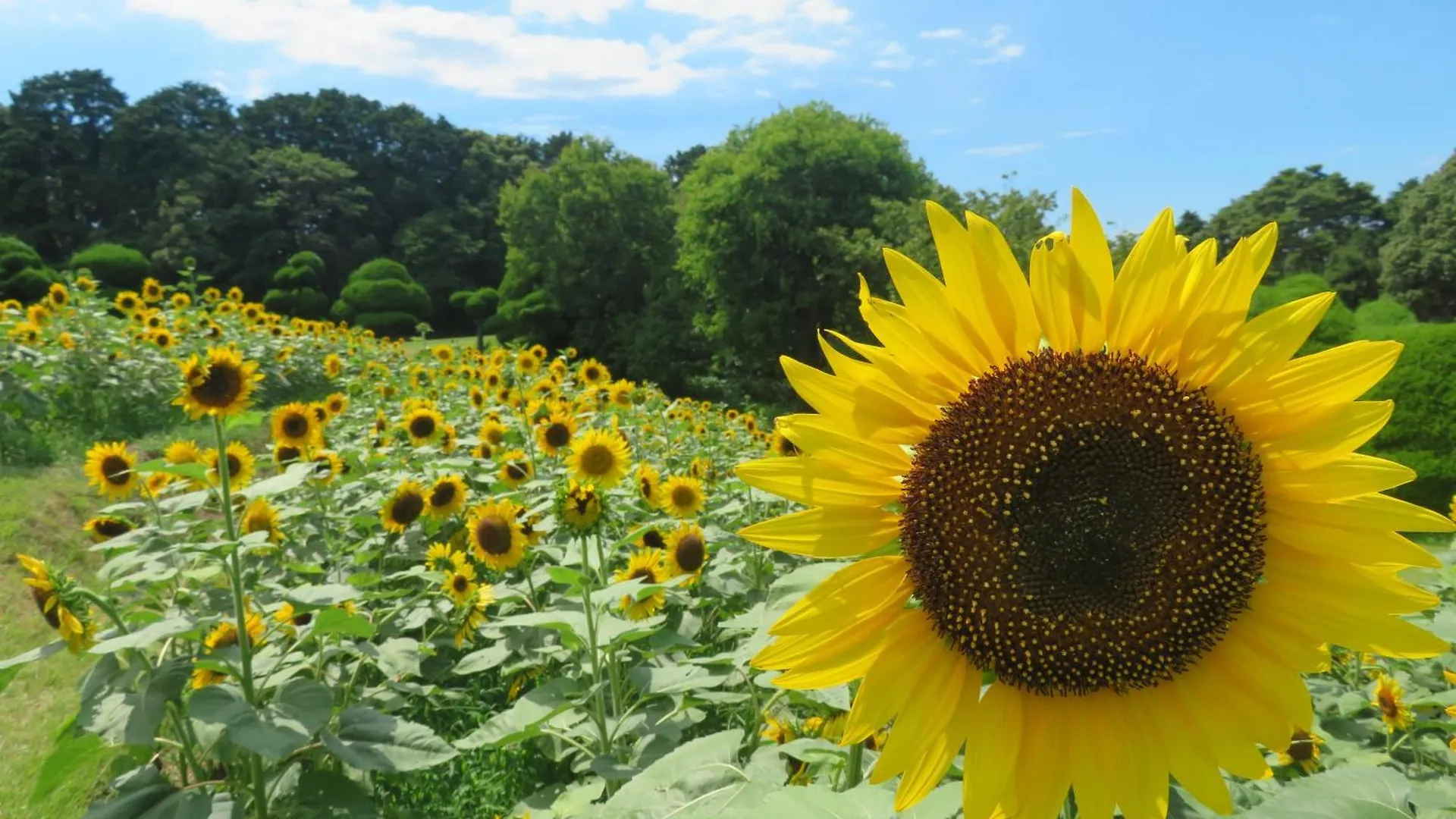 Nokoshima Island Park Villa Sakimori Fukuoka  0*, Fukuoka (Fukuoka) Japão