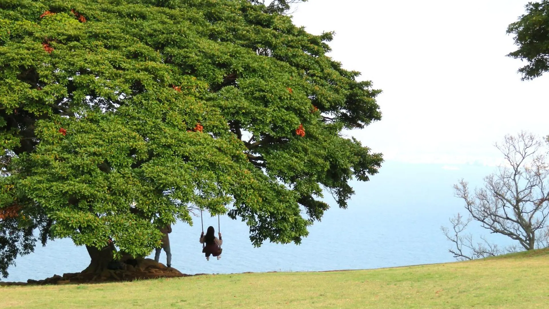 Nokoshima Island Park Villa Sakimori Fukuoka  Japão